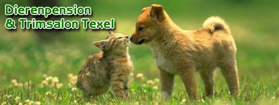 imageye___-_imgi_6_slider1